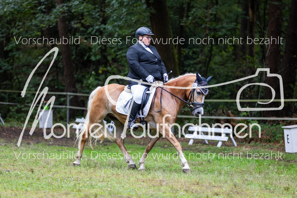 HB-A-Dressur-129 | MomenTaufnahmen Pferdesportfotos