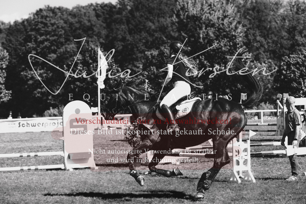 DSC_7355 | Pferde- und Turnierfotografie in Westsachsen. Pferdeportraits, Auftragszeichnungen und intuitive Kunst.