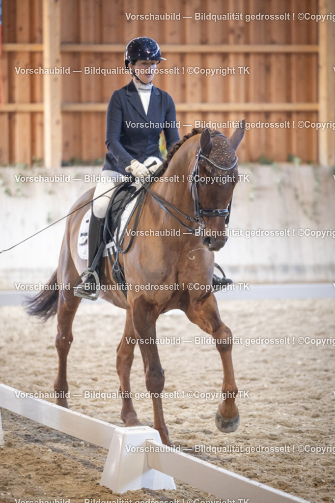 _D5A1663 | Emotionale Pferde- & People-Fotografie rund um Heidelberg, Leimen & Umgebung. Natürliche Fotos von Pferd, Mensch & Familie. Jetzt Termin sichern!