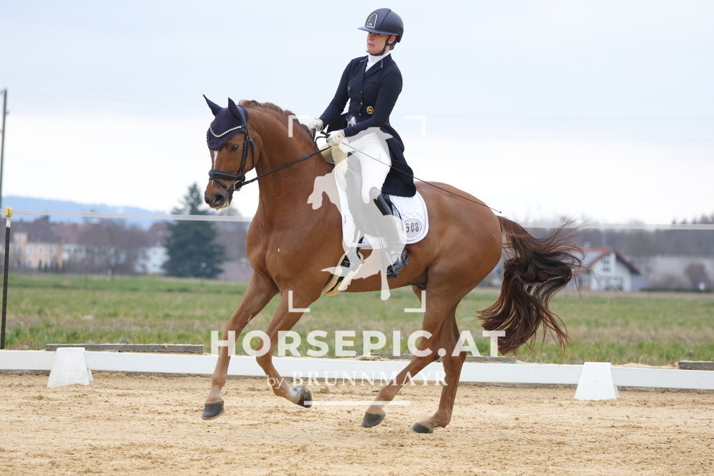 0P6A5524 | Willkommen bei Brunnmayr - Design & Fotografie – Ihrem Spezialisten für Reitturniere und Pferdeveranstaltungen in Oberösterreich, Salzburg und Bayern! Seit über 17 Jahren sind wir leidenschaftlich dabei.