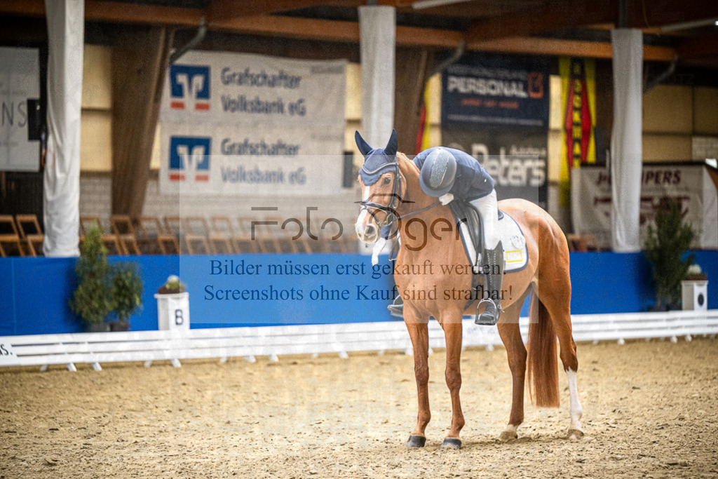 DOS_1963 | Entdecke hochwertige Reitturnierfotos von Foto Oger. Professionell, emotional und authentisch – jetzt Lieblingsmomente im Shop bestellen.Deutschlandweite Turnierfotografie. - Realisiert mit Pictrs.com