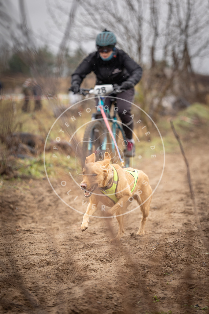 DV3A9066 | Hundefotografie, Tierfotograf, Pfotenfotografie, Fotoshooting Hund, Hunde Portrait, Hundesport, Hundeportraits, Heideshooting, Hunde, Sportfotograf, Hundefotograf, Turnierhundsport, THS,  - Realisiert mit Pictrs.com