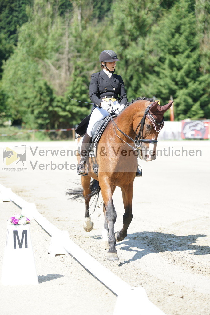 DSC03066 | equestrian-live-com