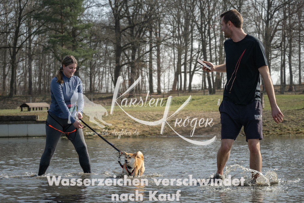 1216_ZZ98743 | kk-dogfotos