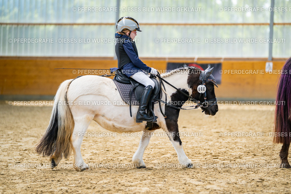 DSC01263 | Pferdegrafie