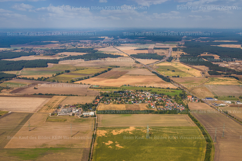 15_Mose-2544 | Mose - Realisiert mit Pictrs.com