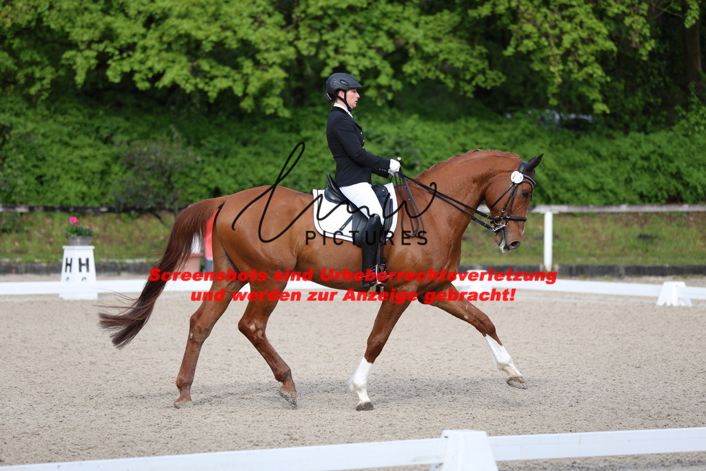 A40A0111 | lmwpictures - Realisiert mit Pictrs.com