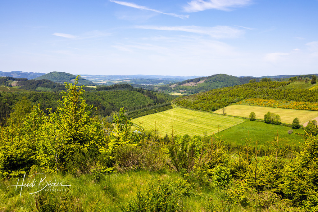 Westfeld und Umgebung 057 | Bilder und Impressionen zu jeder Jahreszeit aus dem Sauerland im Naturpark Sauerland-Rothaargebirge - Realisiert mit Pictrs.com