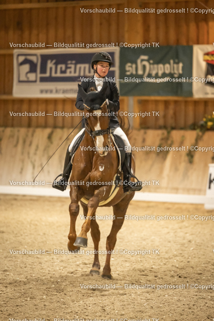 _D5A4267 | Emotionale Pferde- & People-Fotografie rund um Heidelberg, Leimen & Umgebung. Natürliche Fotos von Pferd, Mensch & Familie. Jetzt Termin sichern!