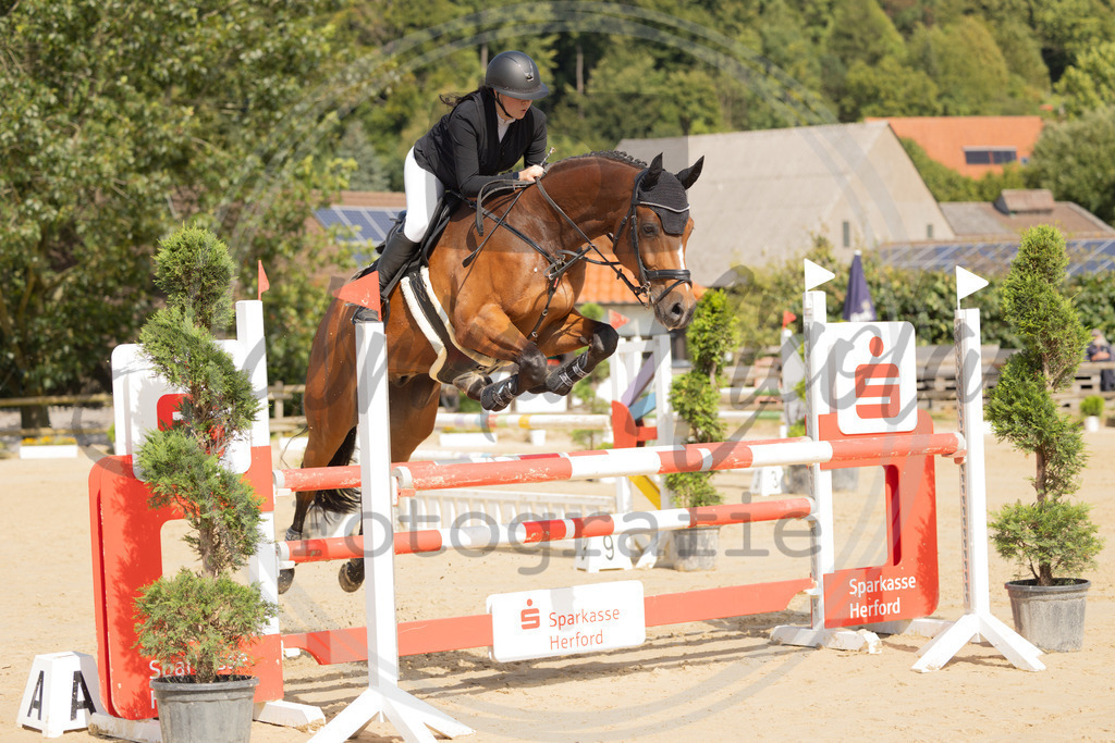 994A8155 | sabrinanicolaifotografie - Realisiert mit Pictrs.com