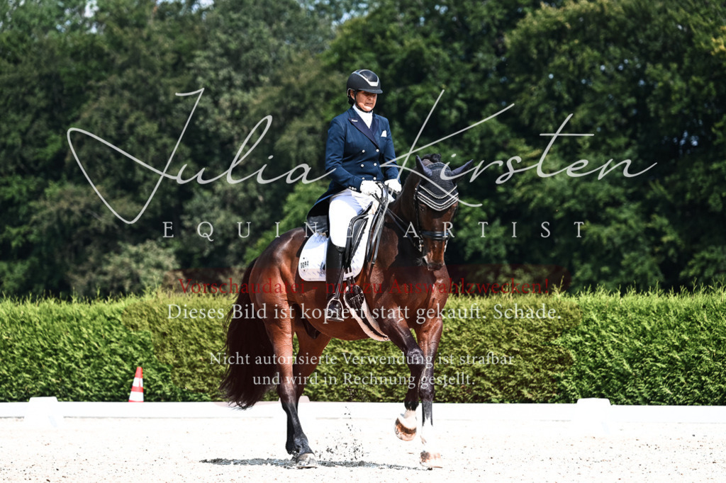 DSC_2900 | Pferde- und Turnierfotografie in Westsachsen. Pferdeportraits, Auftragszeichnungen und intuitive Kunst.