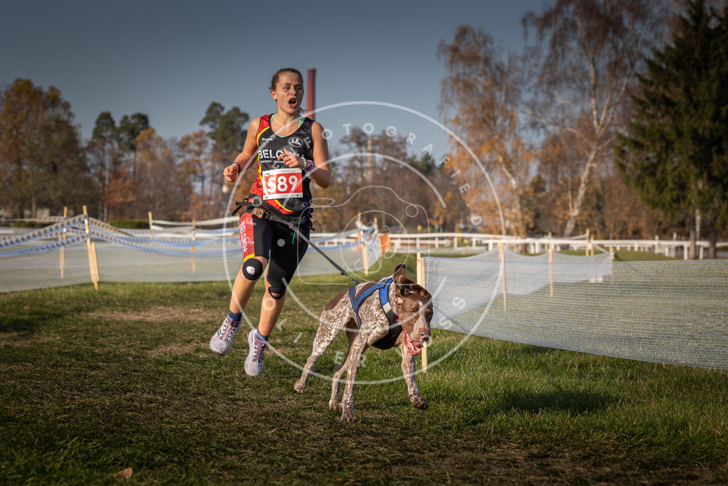 CaniXpix_0L8A9882 | Hundefotografie, Tierfotograf, Pfotenfotografie, Fotoshooting Hund, Hunde Portrait, Hundesport, Hundeportraits, Heideshooting, Hunde, Sportfotograf, Hundefotograf, Turnierhundsport, THS,  - Realisiert mit Pictrs.com