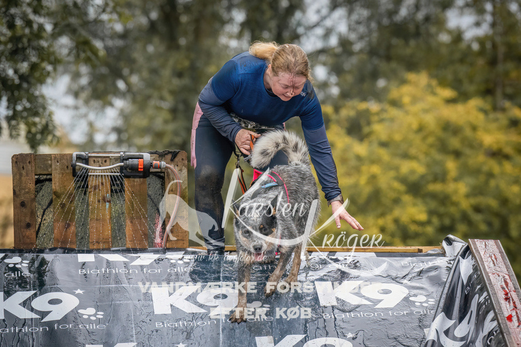 1224_ZZ94935 | kk-dogfotos