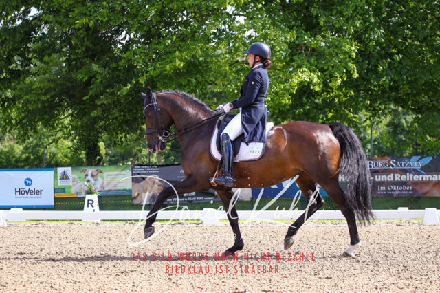DKP41348 | Deine Turnierfotos vom Reitturnier online kaufen: Dressur, Springen & Siegerehrung. Professionelle Pferdefotografie aus dem Rheinland – als Download & Print.Alternative: Turnierfotograf für den Pferdesport: Finde deine Fotos von Dressur- und Springturnier