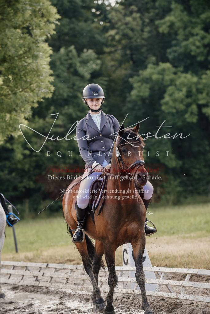 DSC_8276 | Pferde- und Turnierfotografie in Westsachsen. Pferdeportraits, Auftragszeichnungen und intuitive Kunst.