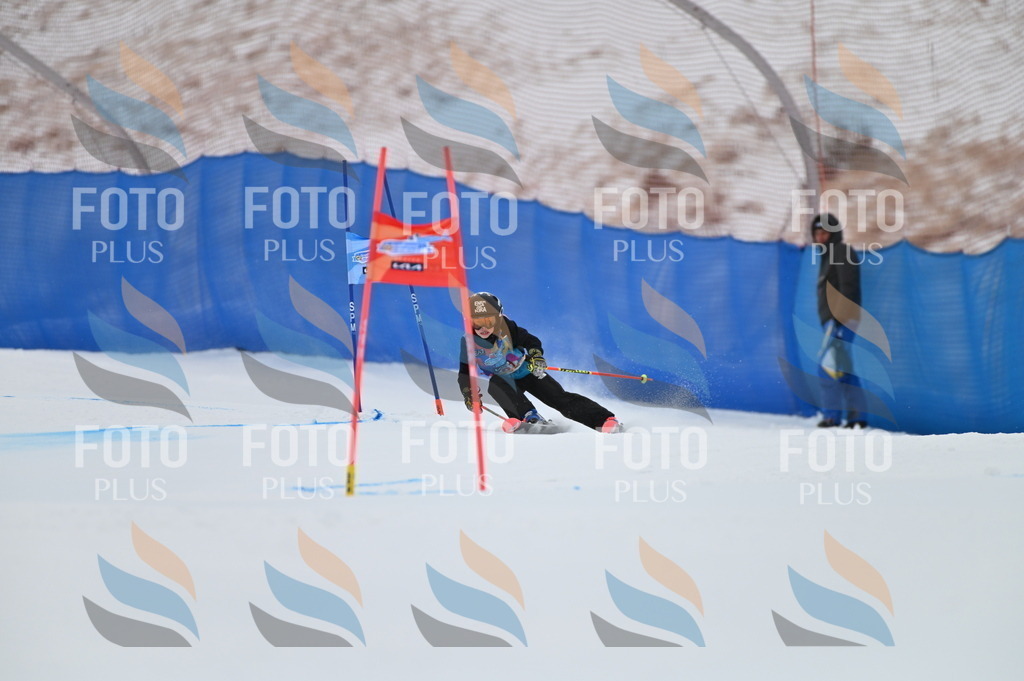 BGV_0133 | holidayphoto