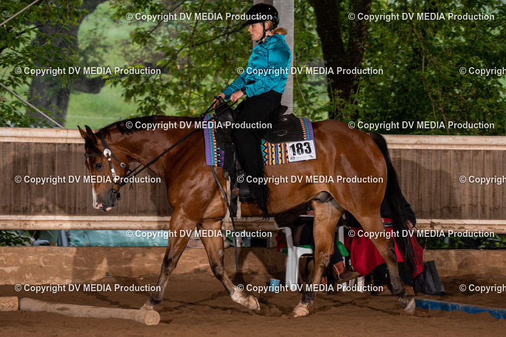 Erbach Tag 3-371 | dv-media-shop - Realisiert mit Pictrs.com