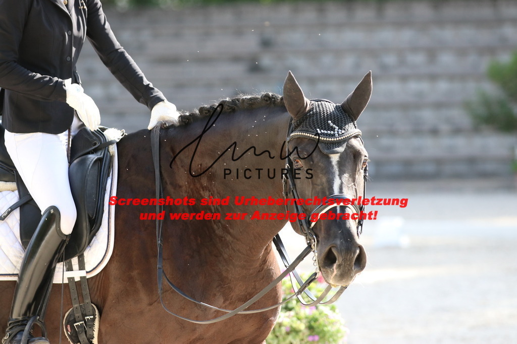 IMG_5812 | lmwpictures - Realisiert mit Pictrs.com