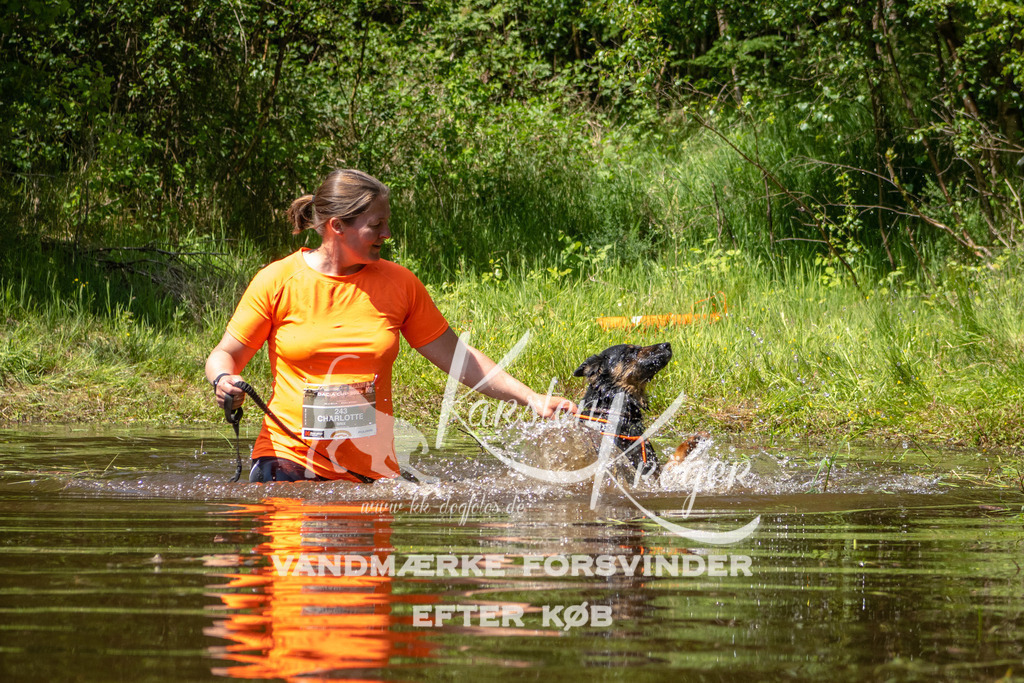 DK K991164141412 | kk-dogfotos