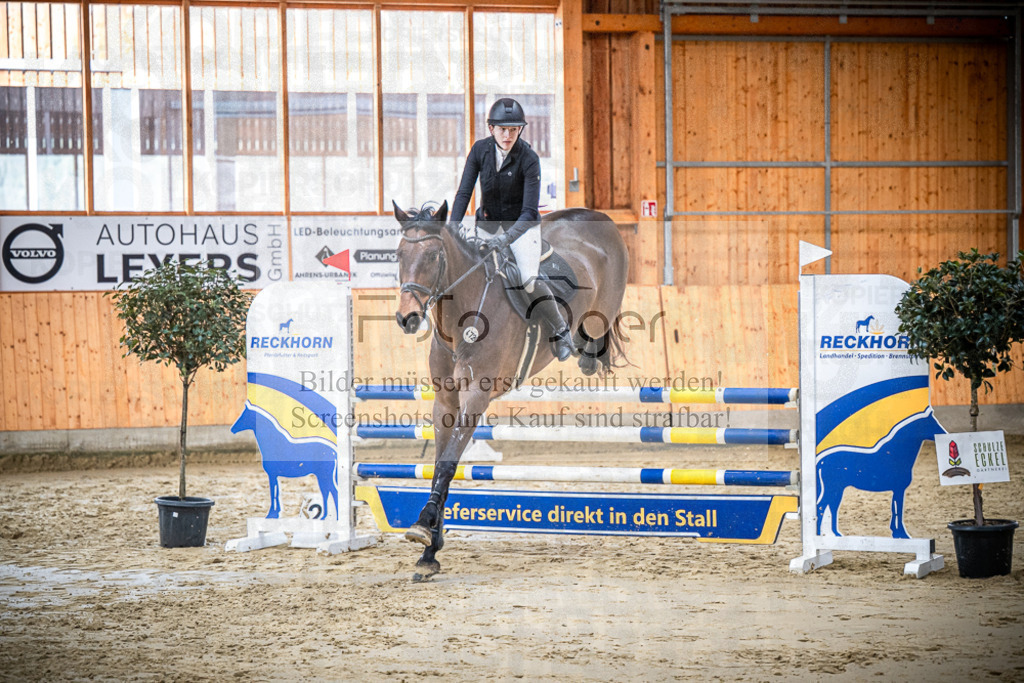 DOS_1295 | Entdecke hochwertige Reitturnierfotos von Foto Oger. Professionell, emotional und authentisch – jetzt Lieblingsmomente im Shop bestellen.Deutschlandweite Turnierfotografie. - Realisiert mit Pictrs.com