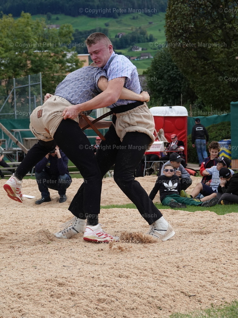 DSC05482 | Schwingen - Realisiert mit Pictrs.com