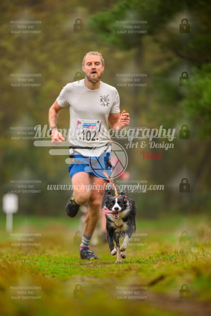 MompixPhotography_Bischwiller2025_Canicross-15 | mompixphotography