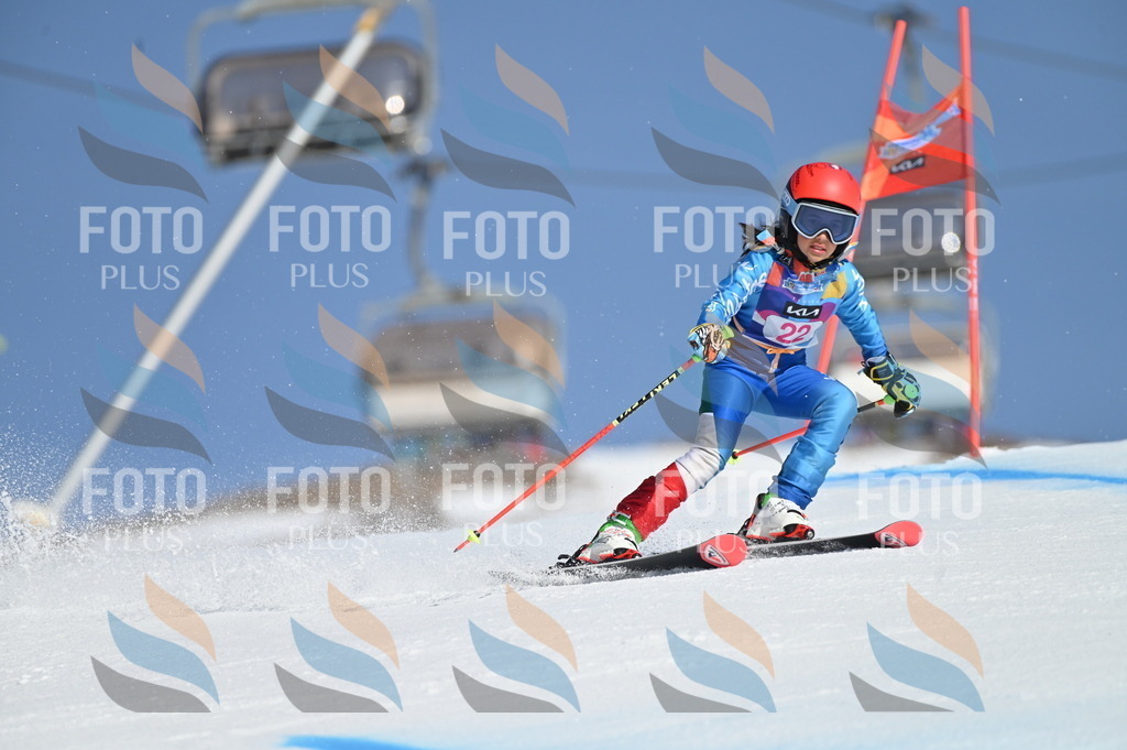 BGV_7975 | holidayphoto