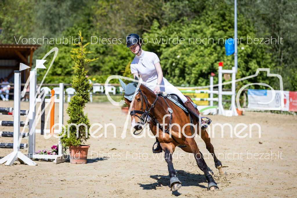 Donop24-ASprmstA-068 | MomenTaufnahmen Pferdesportfotos