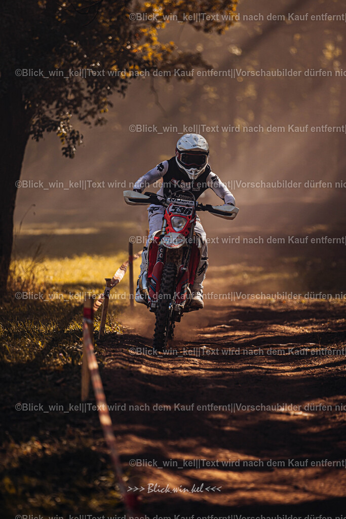 E68A6149 | blick_win_kel