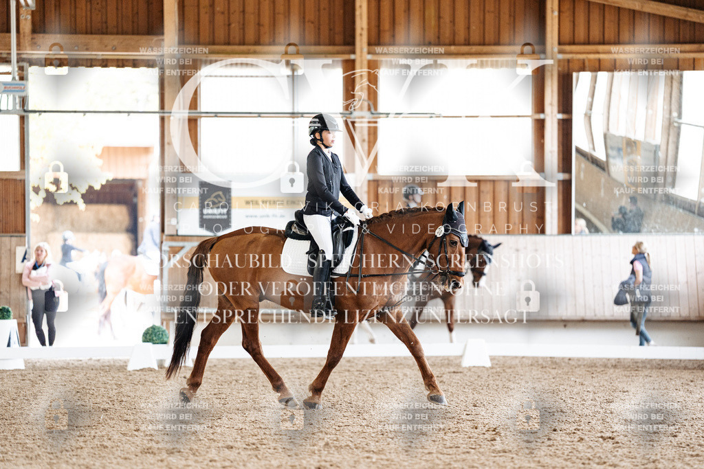 CK909713 | Turnierfotografie Pferdefotografie Trier Rheinland-Pfalz Pferdesport Reitsport Tierfotografie Sportfotografie Pferdevideo Pferdevideografie Equestrianvideography equestrianphotography  - Realisiert mit Pictrs.com