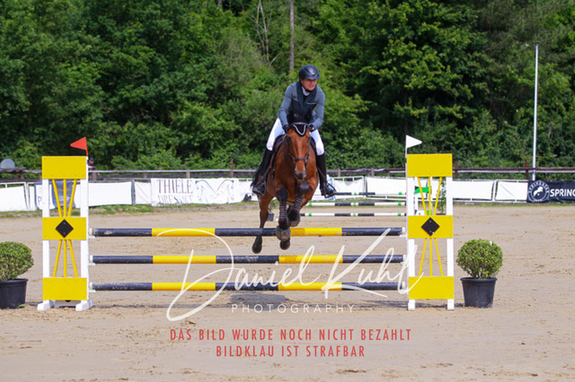 DKP41393 | Turniersportfotografie; Pferdefotografie; Dressurfotografie