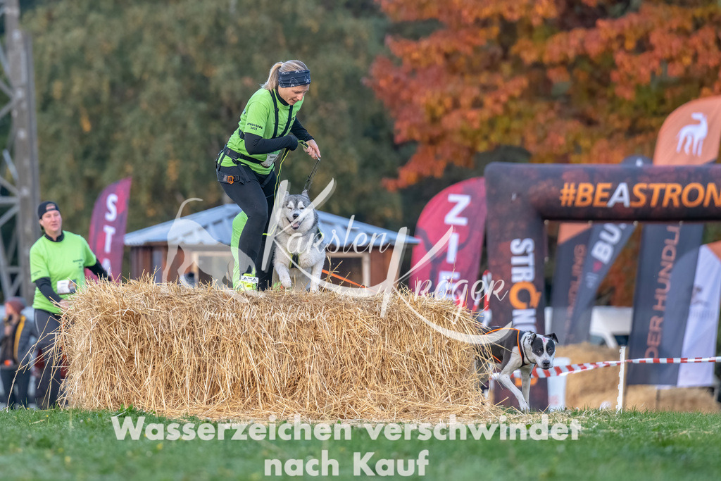 0825_ZZ90490-Bearbeitet | kk-dogfotos