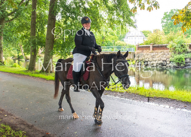 Jagd Kletkamp 26-9586_MarinaHewig | Fotografie, FotoArt, PferdesportArt, Pferdesportfotografie, Landschaftsfotografie, Reisefotografie, Reise, Pferde - Realisiert mit Pictrs.com