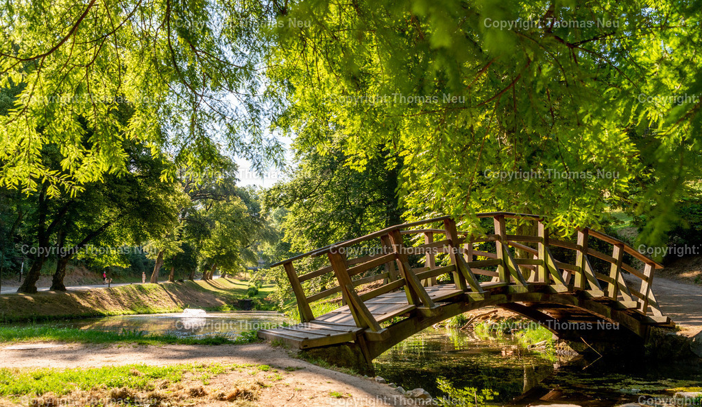 DSC_1543 | Der Staatspark Fürstenlager in Bensheim Auerbach, an der hessischen Bergstraße- ist ein wunderschöner Landschaftspark nach englischen Vorbild. Es war die Sommerresidenz der Darmstädter Fürstenfamilie die hier das "einfache Landleben" genossen. Zu jeder Jahreszeit kann man das Fürstenlager als Ausflugsziel empfehlen. Im Herrenhaus ist eine Gastronomie untergebracht. Im Sommer findet auf der Bühne vor der großen Wiese ein Opern-Air statt, 