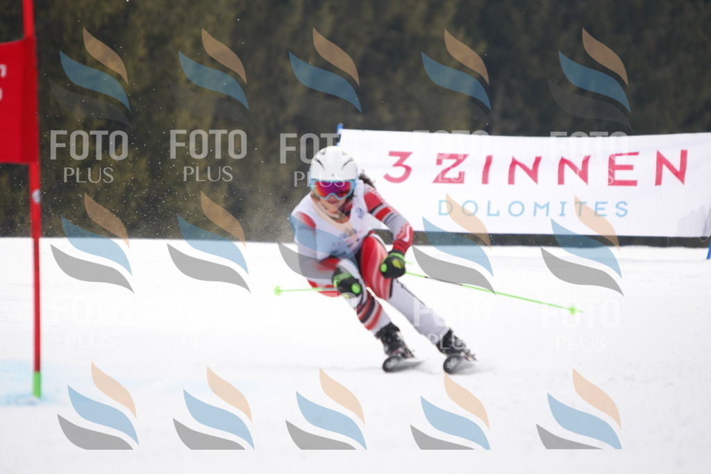 D4924 | holidayphoto