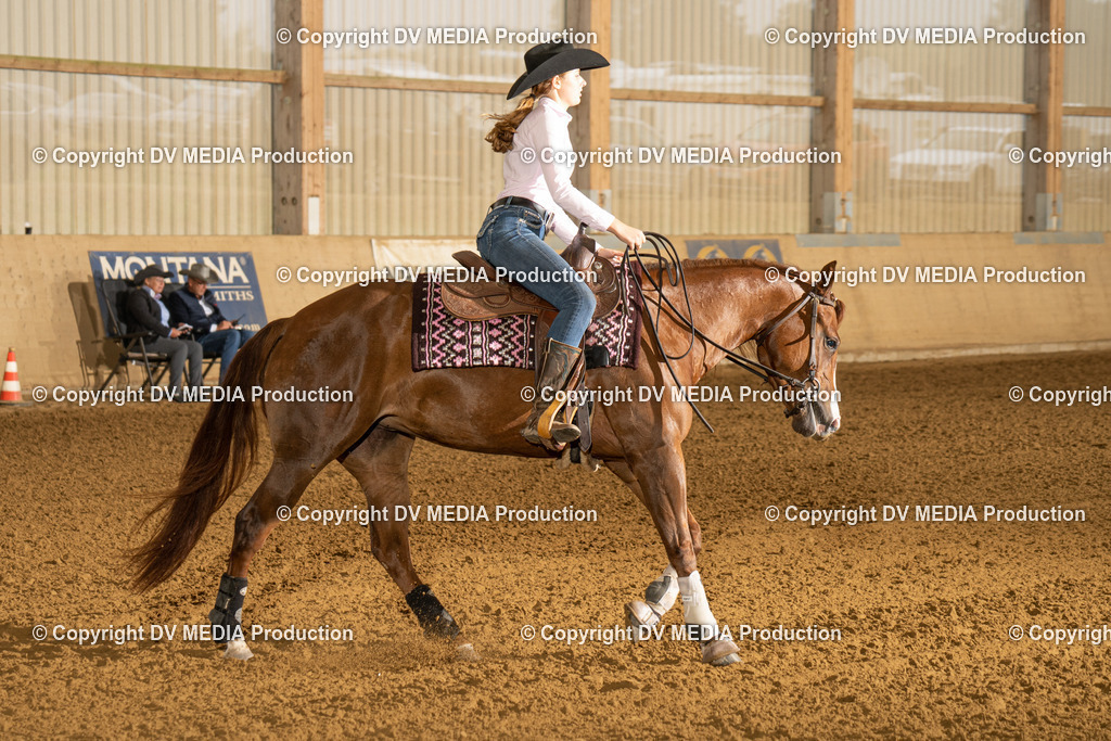 LAU00619 | dv-media-shop - Realisiert mit Pictrs.com