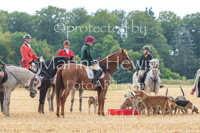 Jagd Knoop 26_MarinaHewigMCH02659 | Fotografie, FotoArt, PferdesportArt, Pferdesportfotografie, Landschaftsfotografie, Reisefotografie, Reise, Pferde - Realisiert mit Pictrs.com