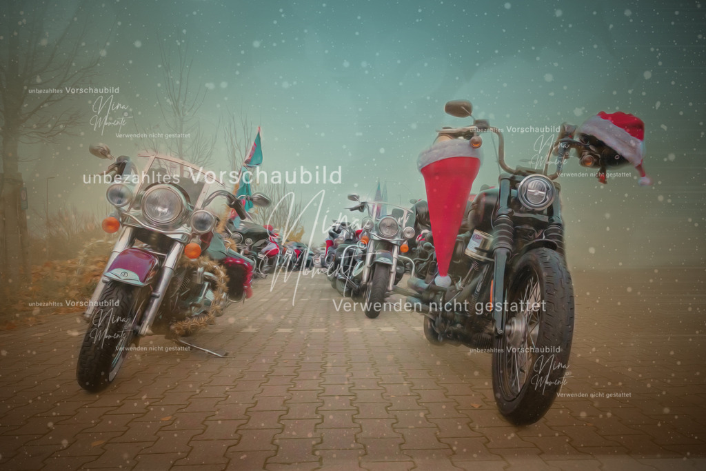 _16A3004-1 | Einzigartige Fotos von Hunden & Menschen –Actionfotos, Portraits, Vereinsaufnahmen & Paarshootings – authentisch, lebendig & mit Herz.