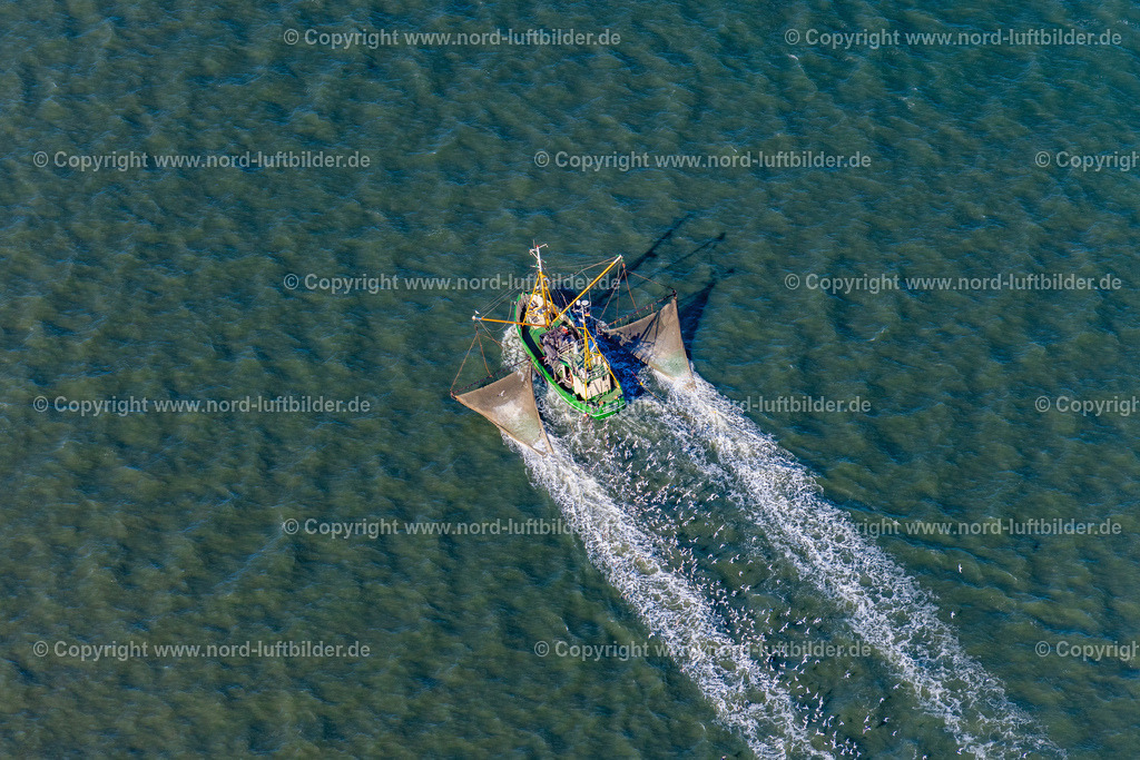 Norderney_Krabbenkutter_Nordstrom_I_Norddeich_ELS_5530091022 | NORDERNEY 09.10.2022 Krabbenkutter in Fahrt auf der Nordsee vor Norderney "Nordstrom" " Norddeich " im Bundesland Niedersachsen. // Shrimp cutter in motion on the North Sea off Norderney "Nordstrom" "Norddeich" in the state of Lower Saxony. Foto: Martin Elsen