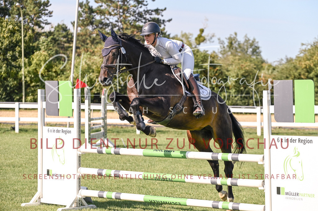 Schugtsche-Düren.2024-11.Mannsch.Springprf.A-94 | Schugtsche Fotografie - Realisiert mit Pictrs.com