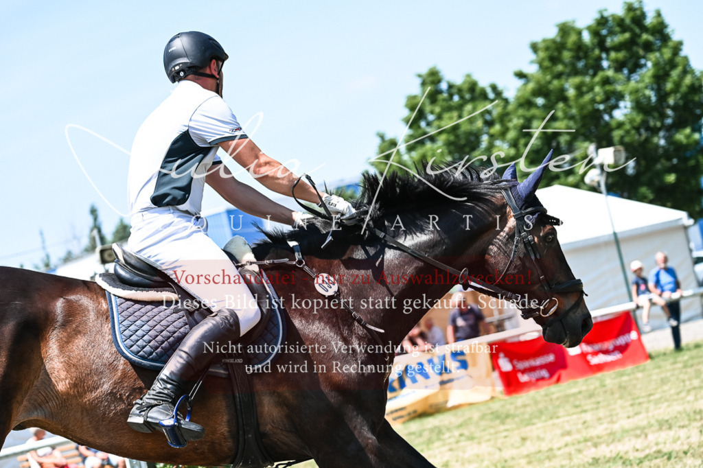 DSC_0334 | Pferde- und Turnierfotografie in Westsachsen. Pferdeportraits, Auftragszeichnungen und intuitive Kunst.