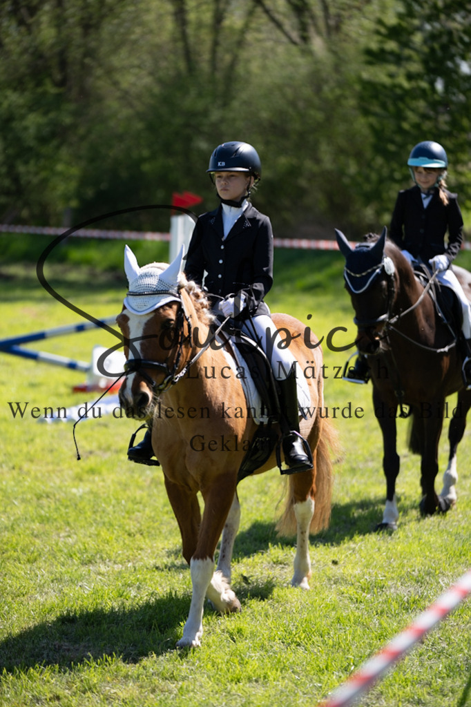 A7V01307 | Pferdefotograf