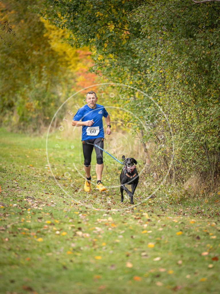 Pfotenfotografie_DV3A2642 | Hundefotografie, Tierfotograf, Pfotenfotografie, Fotoshooting Hund, Hunde Portrait, Hundesport, Hundeportraits, Heideshooting, Hunde, Sportfotograf, Hundefotograf, Turnierhundsport, THS,  - Realisiert mit Pictrs.com