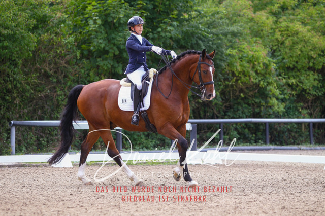 DKP40819 | Turniersportfotografie; Pferdefotografie; Dressurfotografie