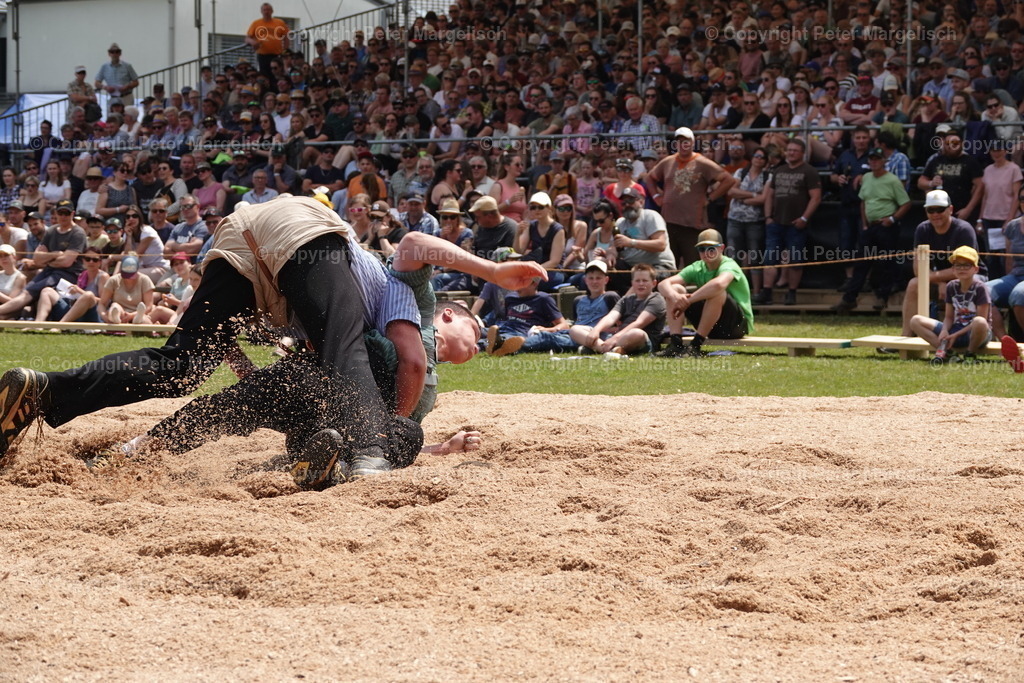 DSC04584 | Schwingen - Realisiert mit Pictrs.com