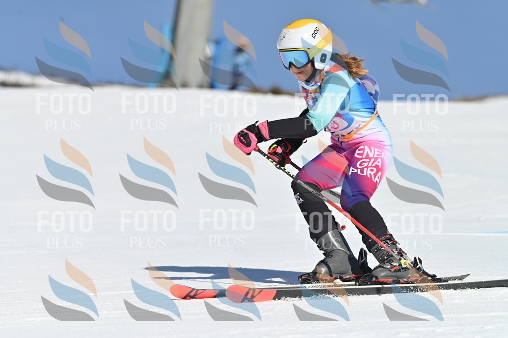 BGV_7824 | holidayphoto