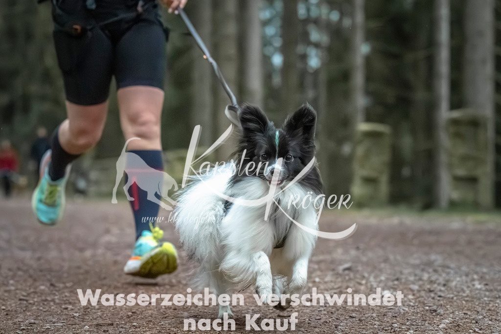 0829_ZZ91718 | kk-dogfotos