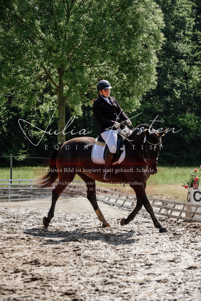 DSC_0170 | Pferde- und Turnierfotografie in Westsachsen. Pferdeportraits, Auftragszeichnungen und intuitive Kunst.