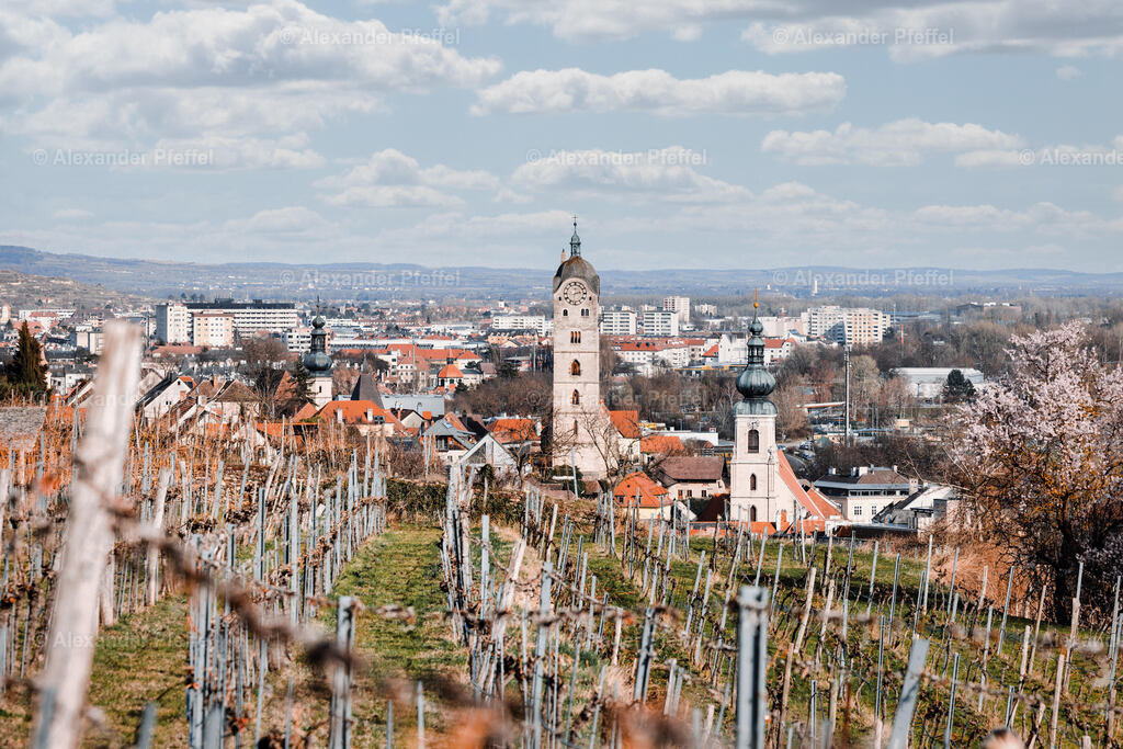 foto_c_pfeffel-partner-0179-R52_2642-Bearbeitet | alexander-pfeffel - Realisiert mit Pictrs.com