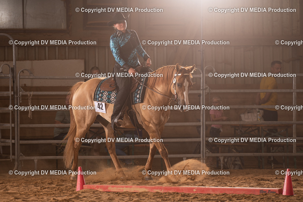 NID00857 | dv-media-shop - Realisiert mit Pictrs.com